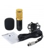 BM-800 Condenser Sound Recording Microphone + Plastic Shock Mount Kit