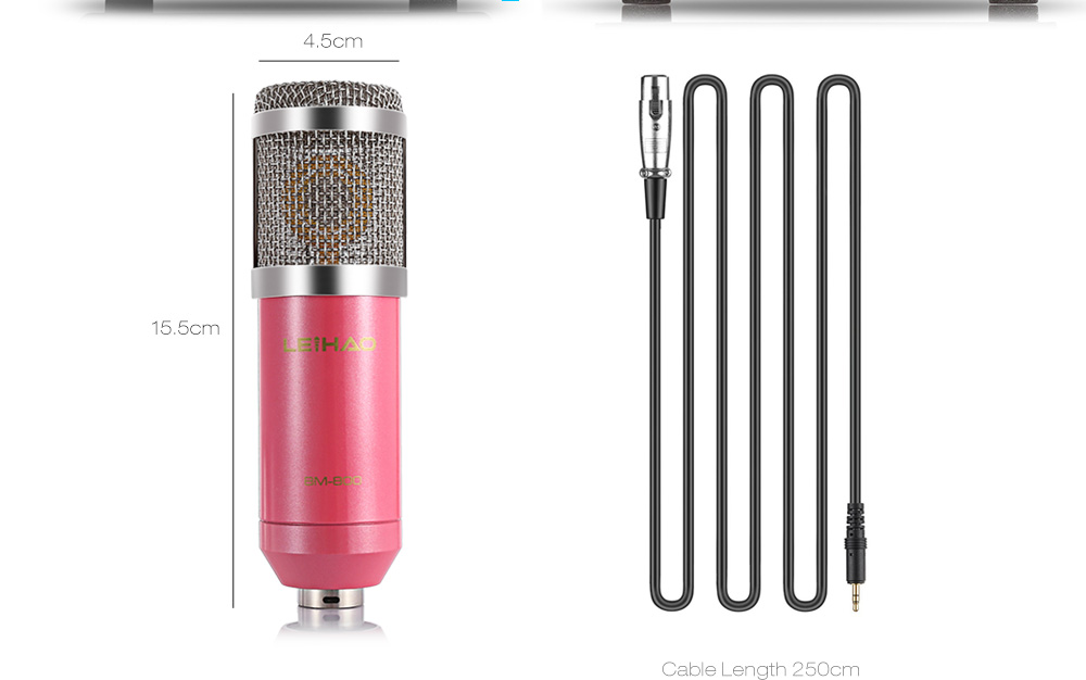 LEIHAO BM - 800 Professional Condenser Microphone Kit Studio Broadcasting Recording with Phantom Power Supply